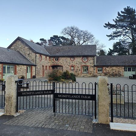 The View At Moneylands Vila Arklow Exterior foto